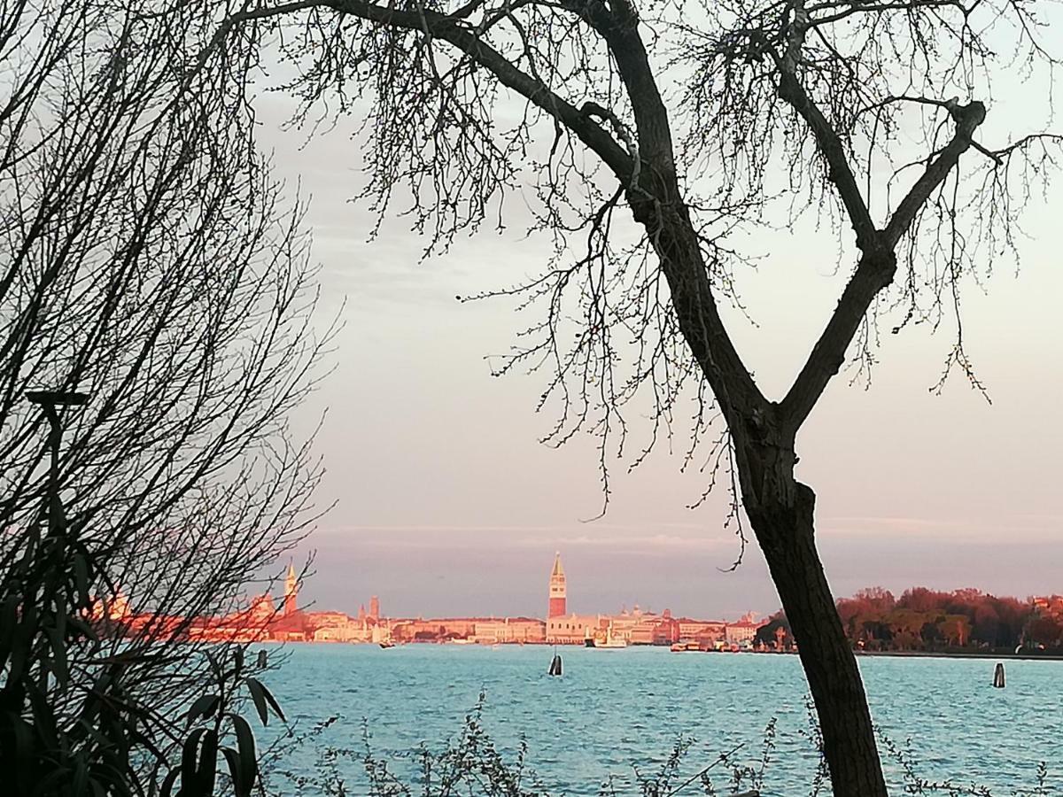 Bellavista Sanmarco Venice And Lagoon View Lido di Venezia Eksteriør bilde